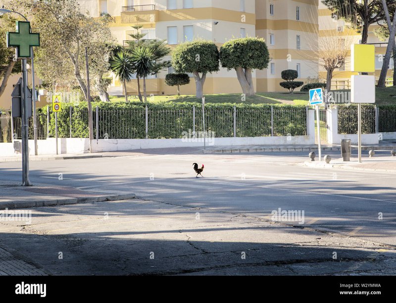 Descubre el Aventurero Chicken Road, El Juego de Azar Oficial en España. 1 Descubre el Aventurero Chicken Road, El Juego de Azar Oficial en España